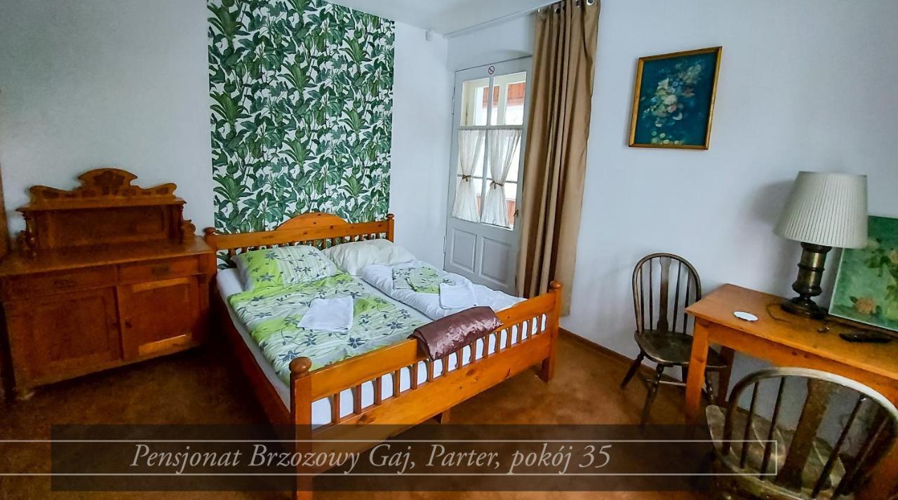 Brzozowy Gaj - Pensjonat Karpacz Ngoại thất bức ảnh