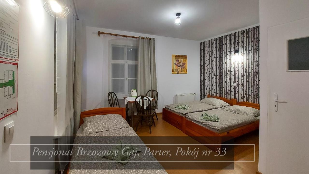 Brzozowy Gaj - Pensjonat Karpacz Ngoại thất bức ảnh