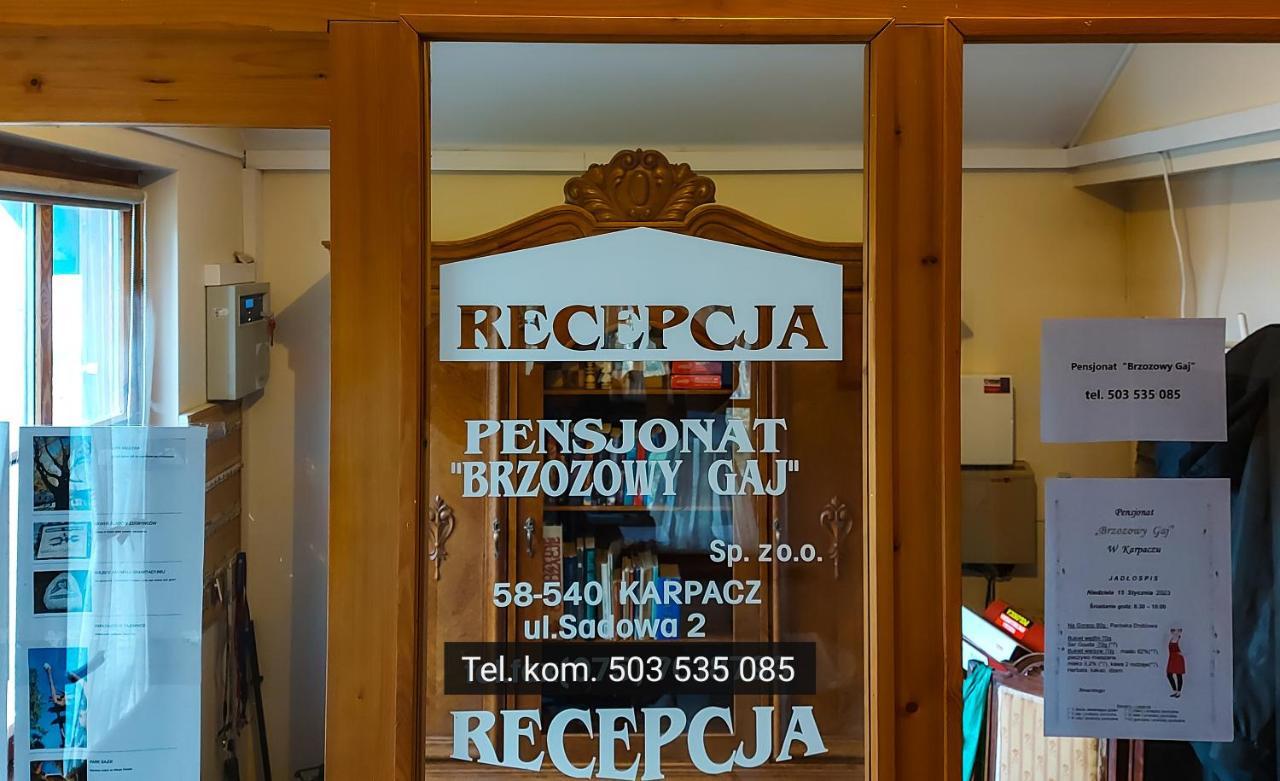 Brzozowy Gaj - Pensjonat Karpacz Ngoại thất bức ảnh